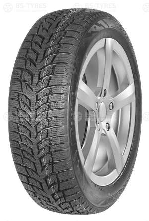 Autogreen Snow Chaser 2 AW08 175/65 R15 84T