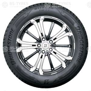 Bridgestone Blizzak DM-V3 225/55 R19 99T