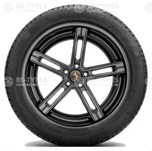 Continental ContiWinterContact TS830P 255/50 R20 109H