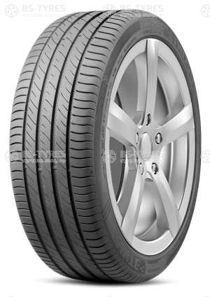 Delinte DS2 185/70 R14 88T