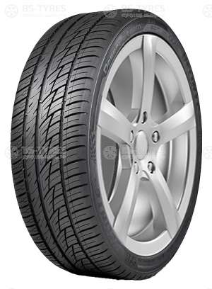 Delinte DS8 255/55 R20 110W