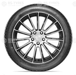 Doublestar DW02 255/50 R19 107T