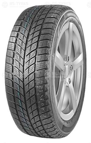 Doublestar DW09 255/50 R19 107T