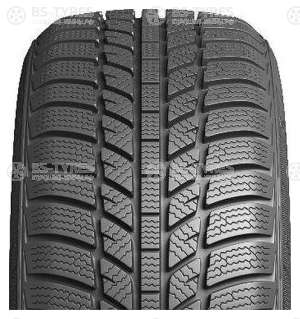 Evergreen Winter EW62 165/65 R14 79T