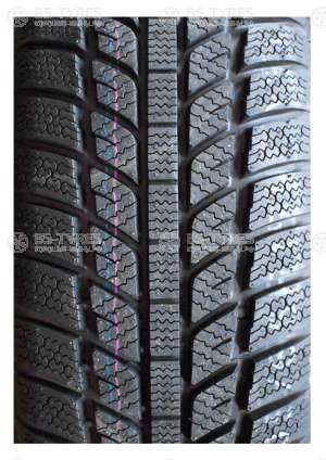 Evergreen Winter EW62 165/65 R14 79T