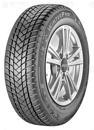 GT Radial Champiro WinterPro 2 205/55 R17 95H