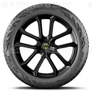 Ikon (Nokian Tyres) Autograph Snow 5 SUV 225/55 R19 103R