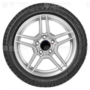Maxxis SP-02 Arctic Trekker 205/65 R16 95T