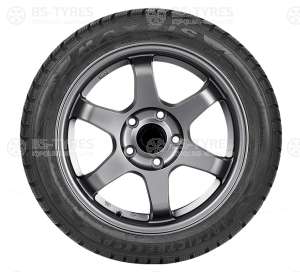 Maxxis WP-05 Arctic trekker 215/65 R15 100H