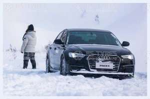 Pace Antarctica 5+ 215/55 R16 97H