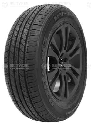 Rydanz Raleigh R06 255/50 R19 107W