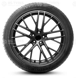 Rydanz Raleigh R06 255/50 R19 107W