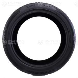 Tracmax X-Privilo RS01+ 295/40 R20 110Y